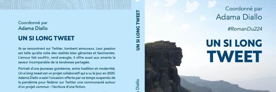 GuineaFirstLove's profile banner image