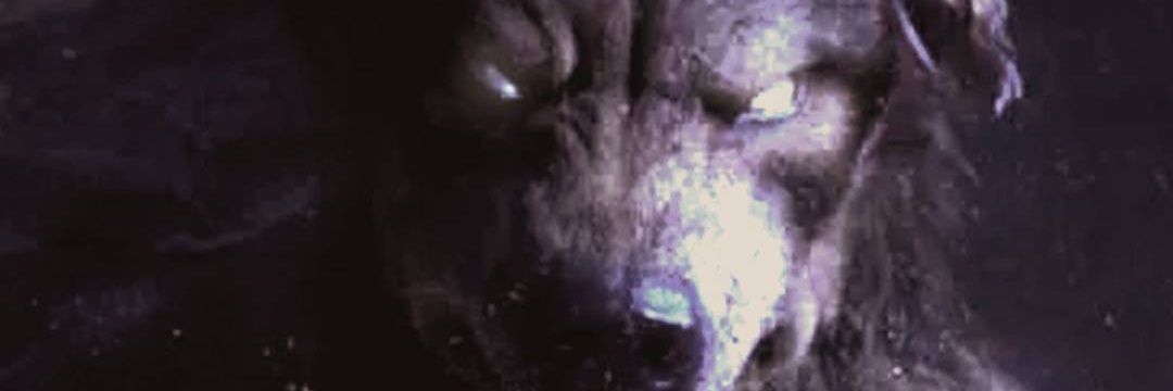 Raul trap lover banner