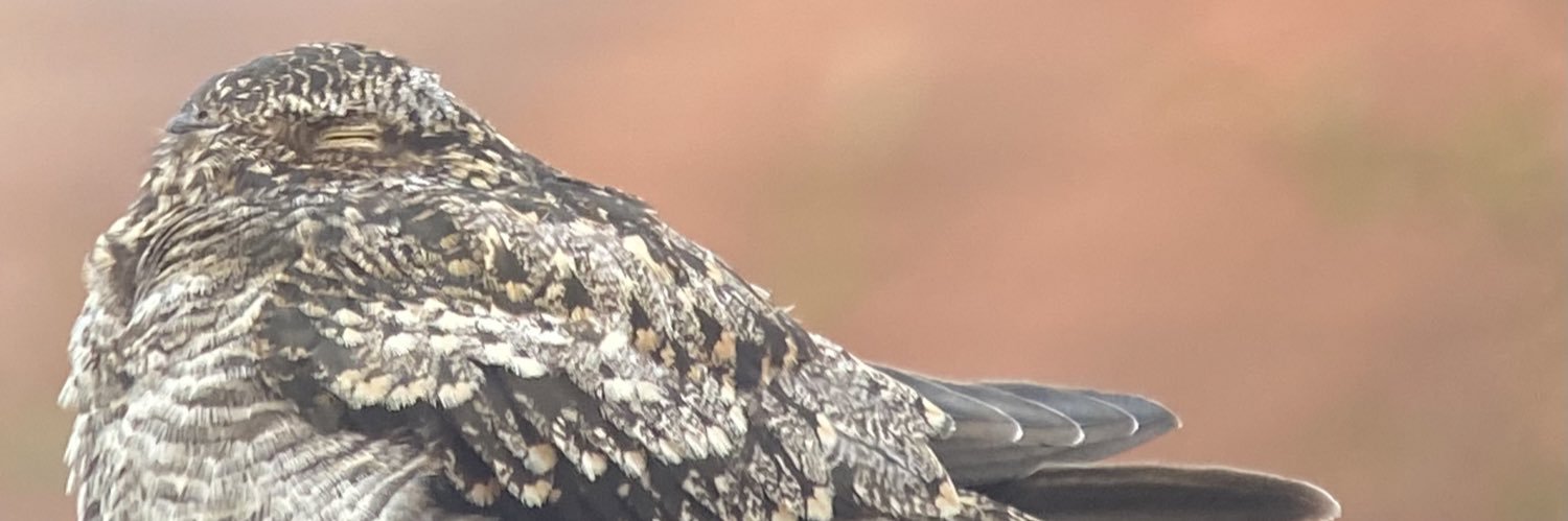 Cleckbirder's profile banner image