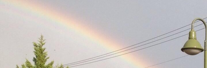 shojilnmc's profile banner image