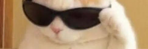 yeetith16's profile banner image