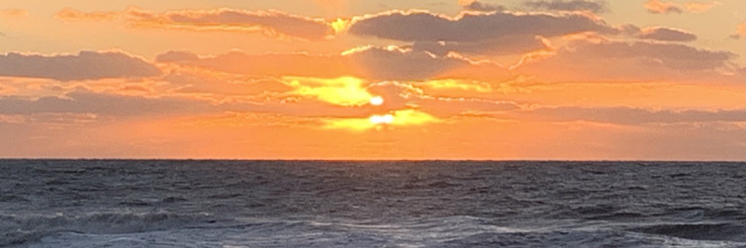 T banner
