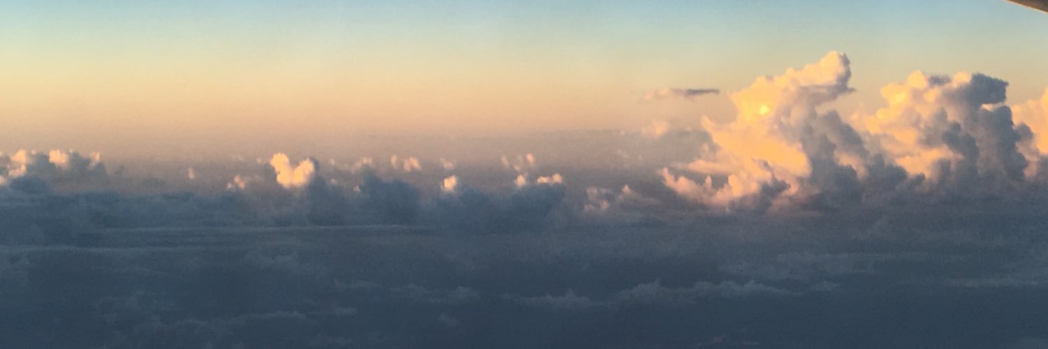 RhodiumDan's profile banner image
