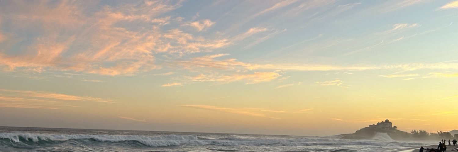 PJDSNT's profile banner image