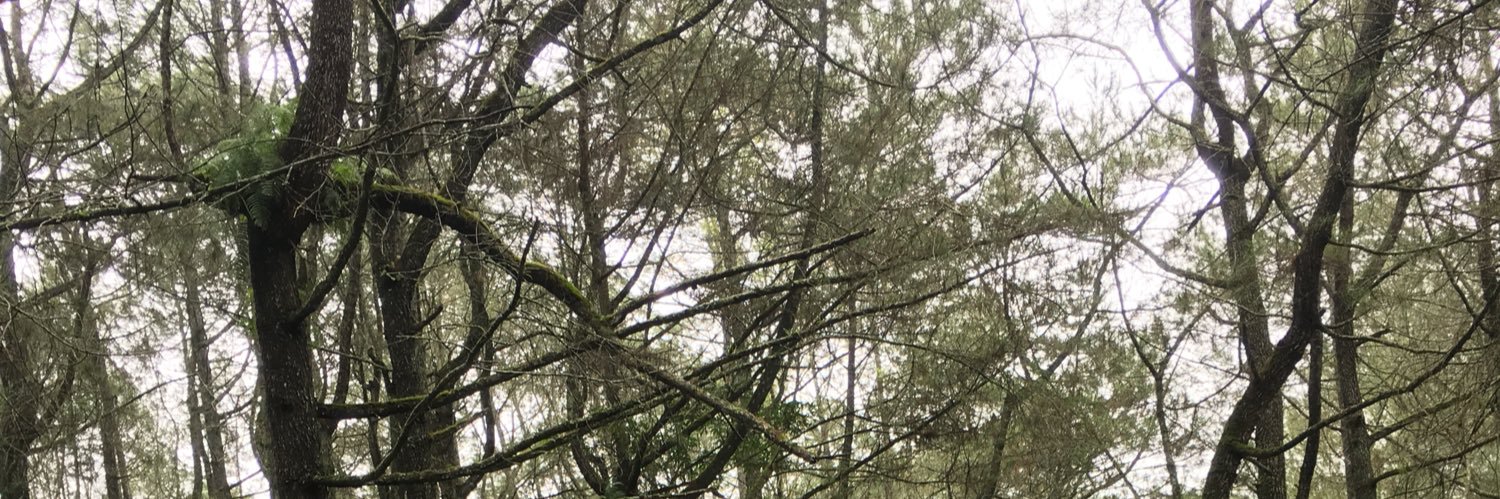 prwtaa's profile banner image