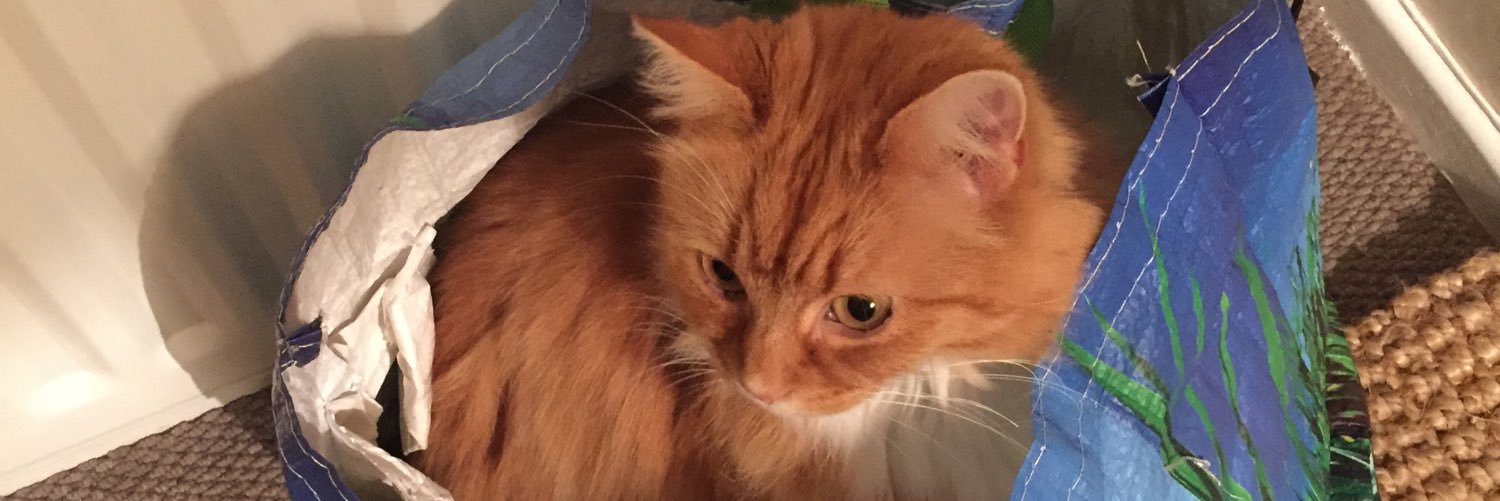 Marmalade banner