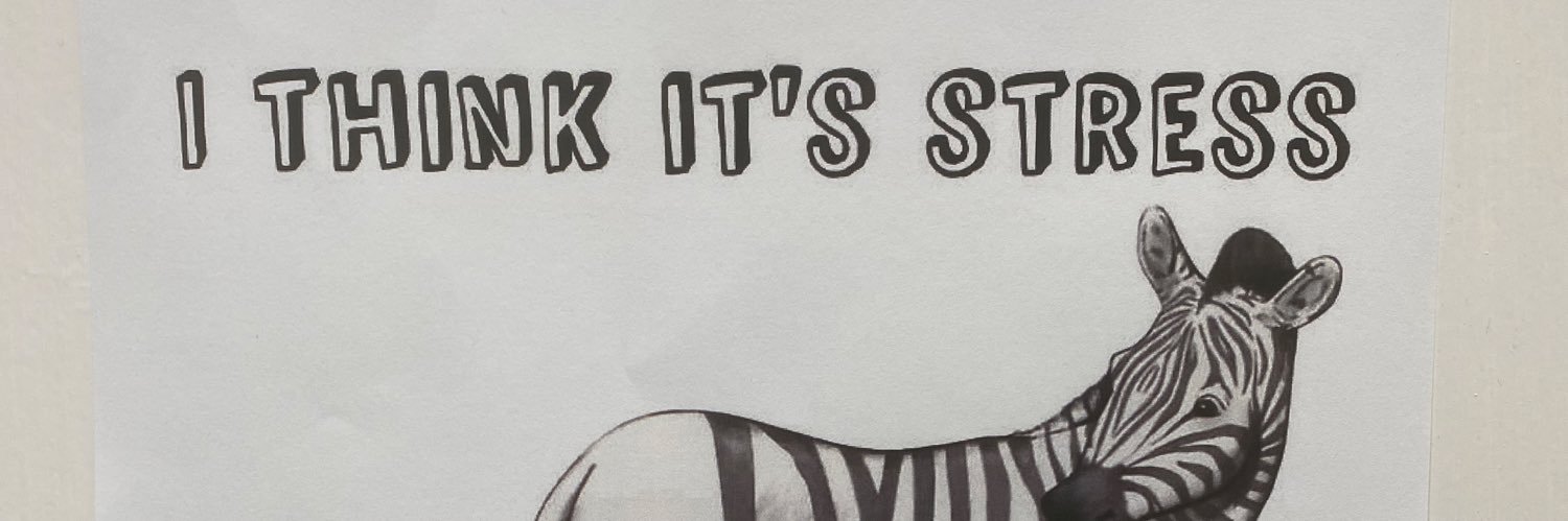 mood_akhtar's profile banner image