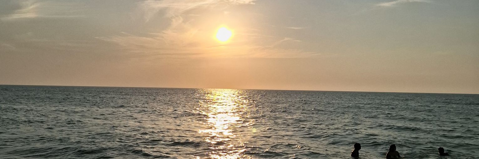 mons_hsv's profile banner image