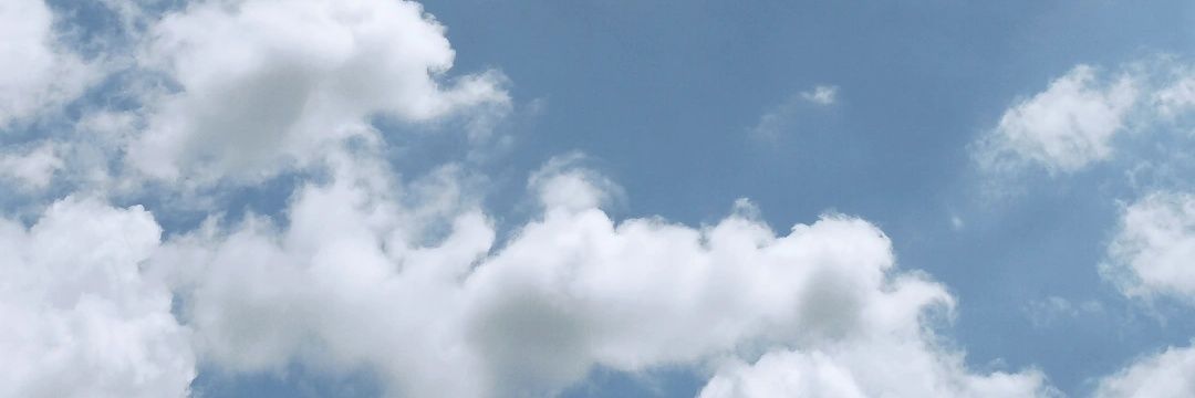 Viy banner