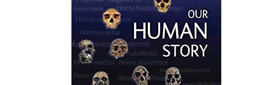 Chris Stringer's banner
