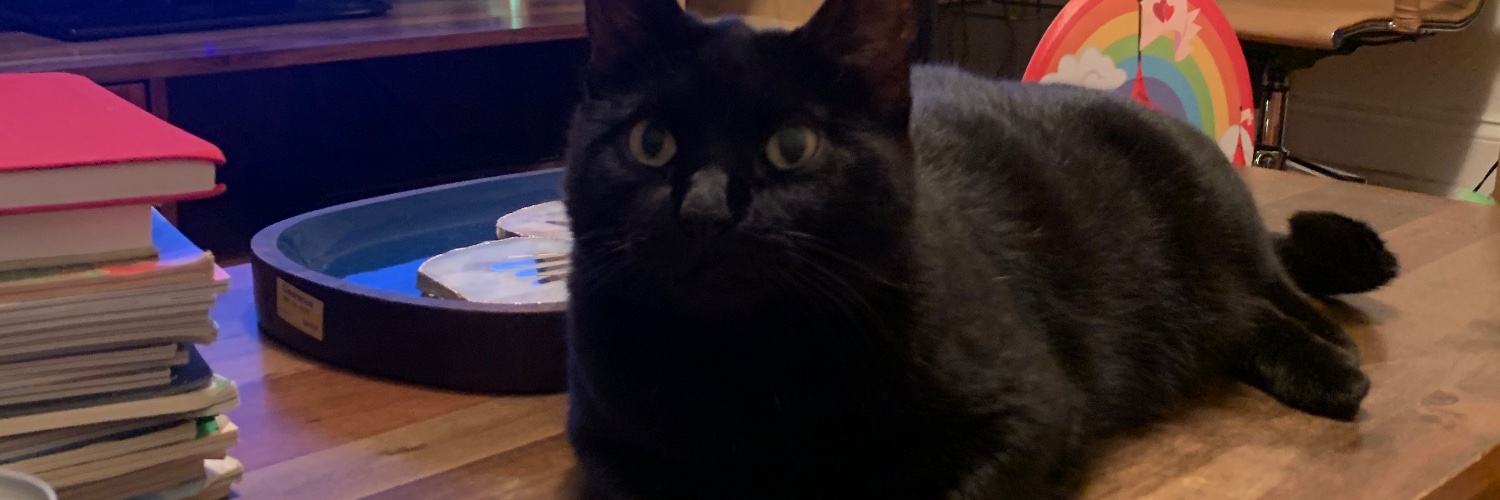 maura 💥 johnston banner