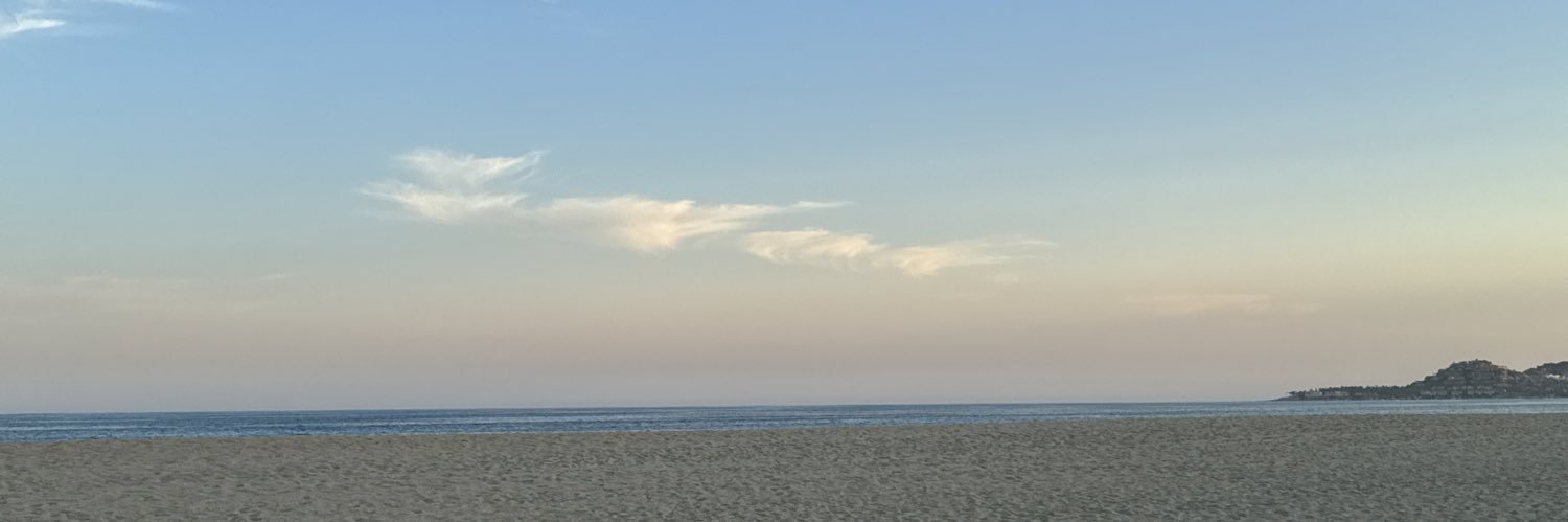 Ms. Sanchez banner