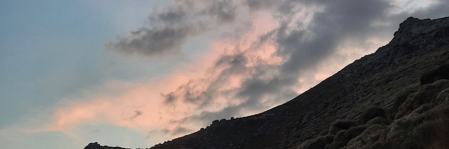 . banner