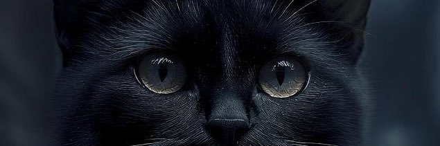 ディエラ banner