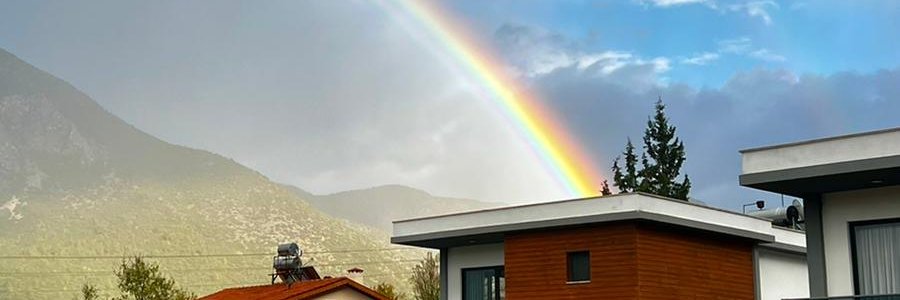 Kayvan Arianpour banner