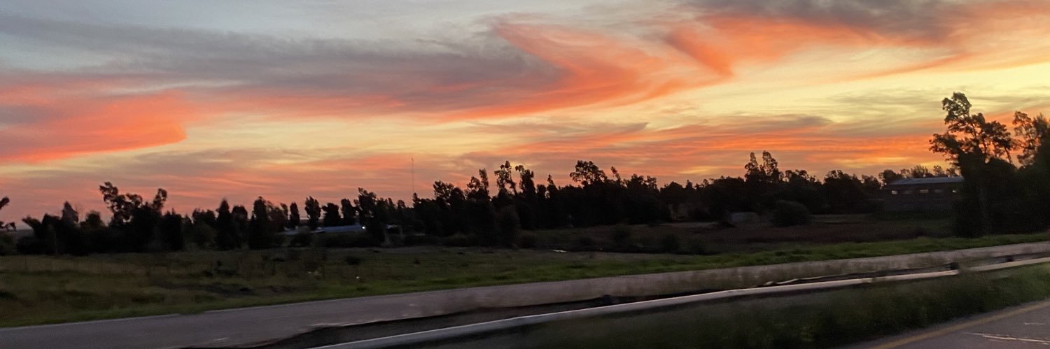 LuzMazzello's profile banner image