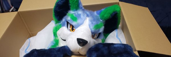 SherMS_fs Profile Banner