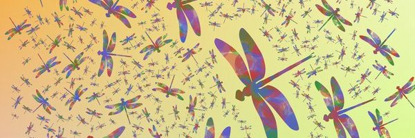 Kevin O'Brien banner