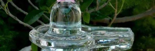 Divya87434098 Profile Banner