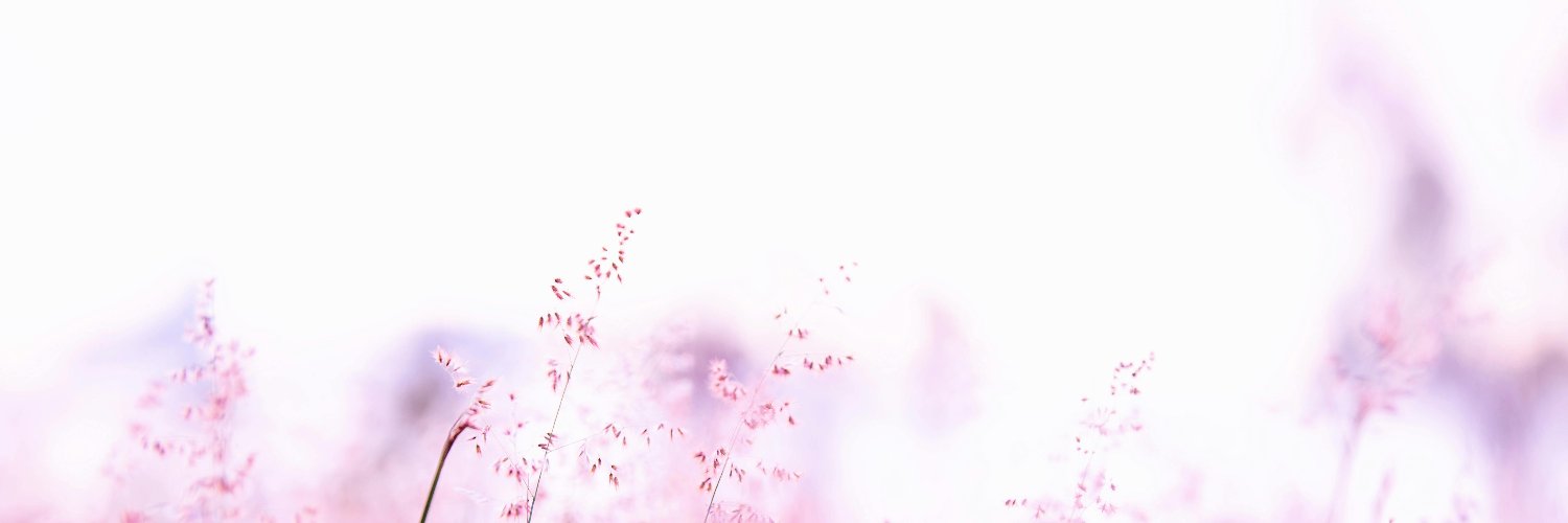 maddykxo's profile banner image
