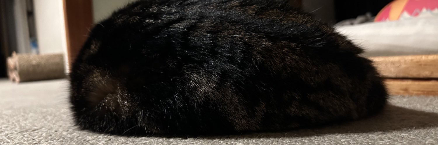 Ralchan888's profile banner image