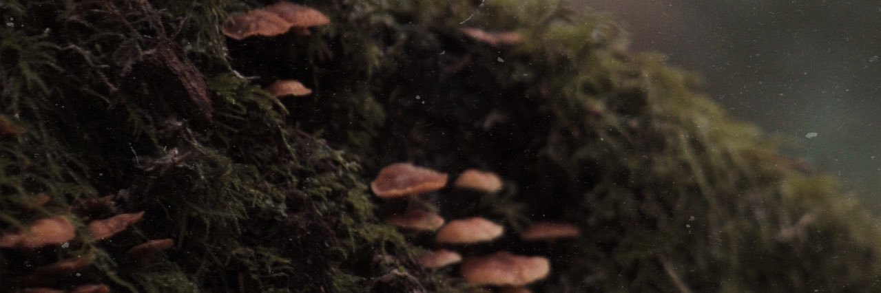 jothesfwhoe's profile banner image