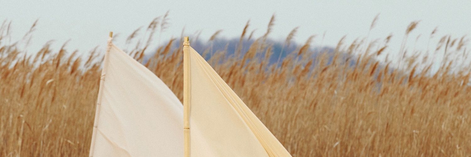devinamargareth's profile banner image