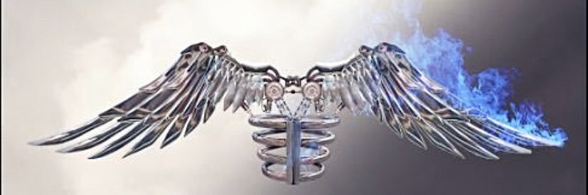eminguveen's profile banner image