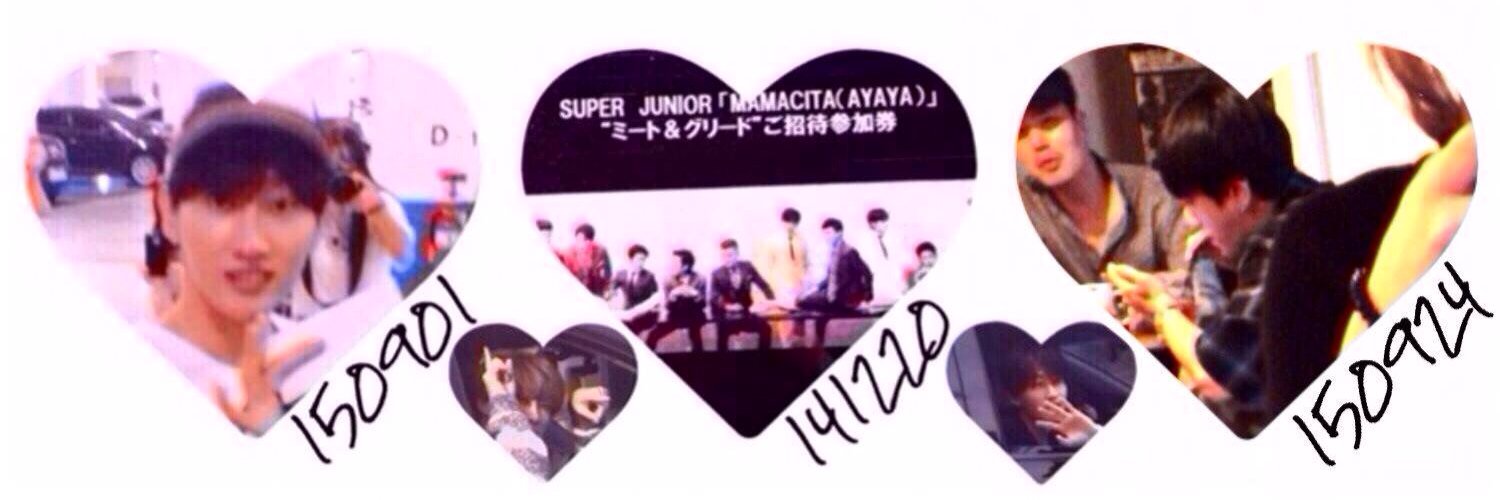 shfly2206's profile banner image