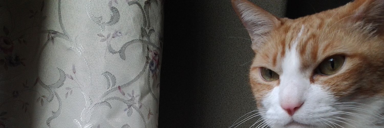 RED7TULIP's profile banner image