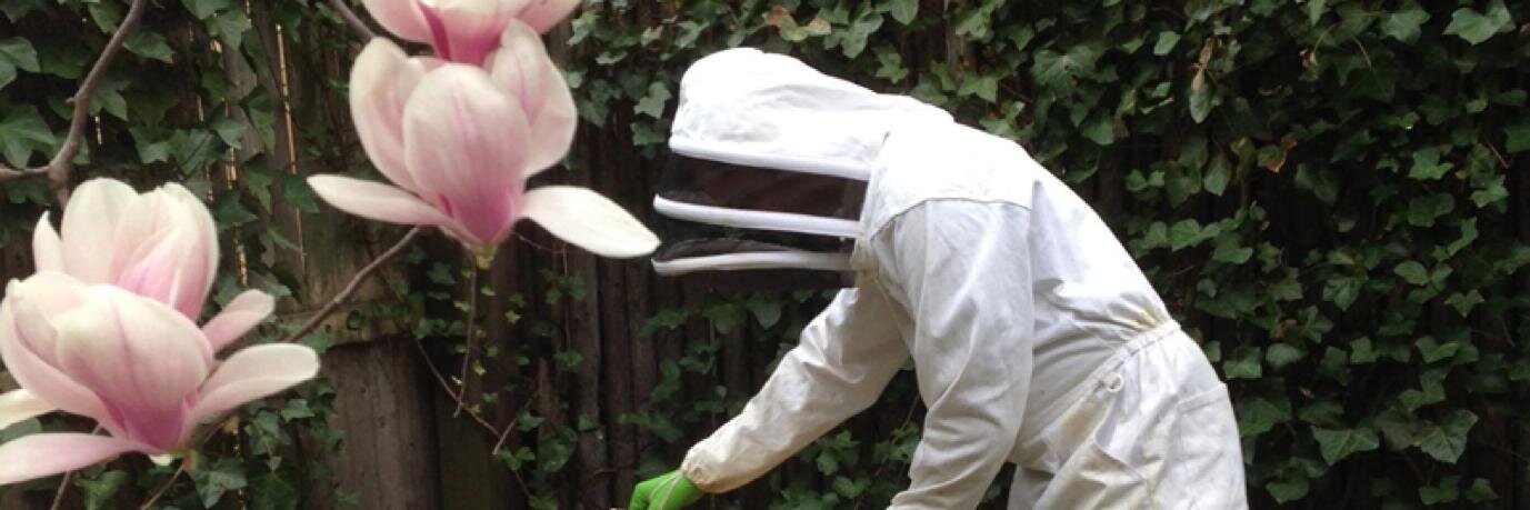 meemsnyc's profile banner image