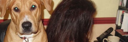 Olchick6's profile banner image