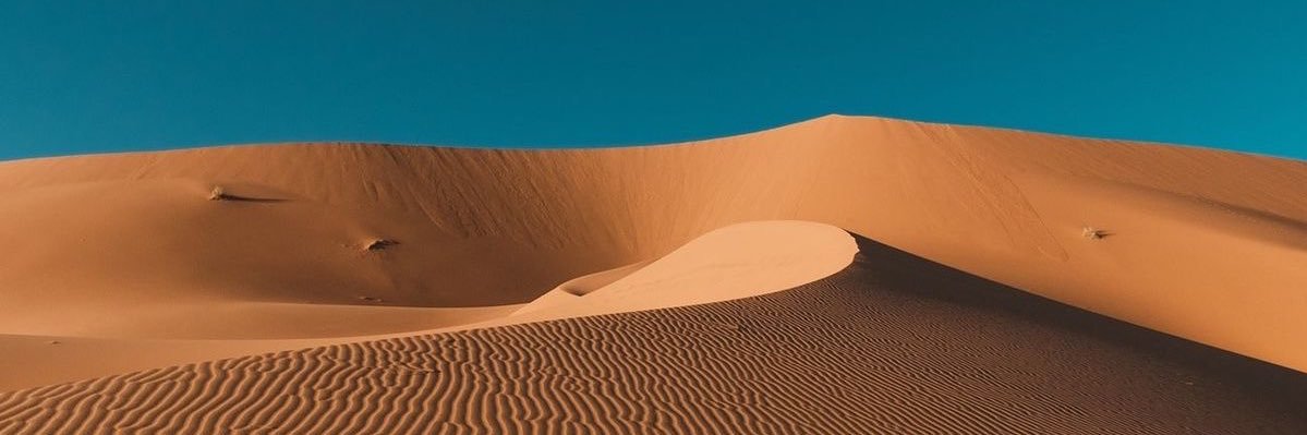 EG0G0D's profile banner image
