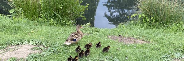 raya_aa1 Profile Banner