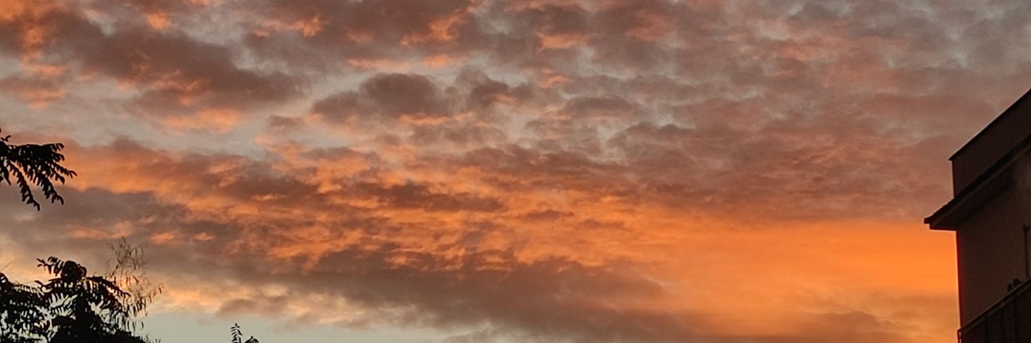 robi_de_santis banner