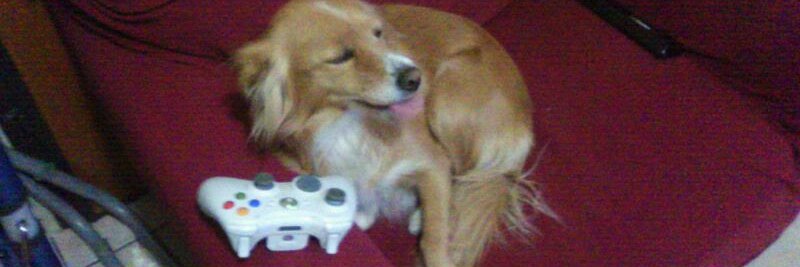 Francesco Di Donato banner