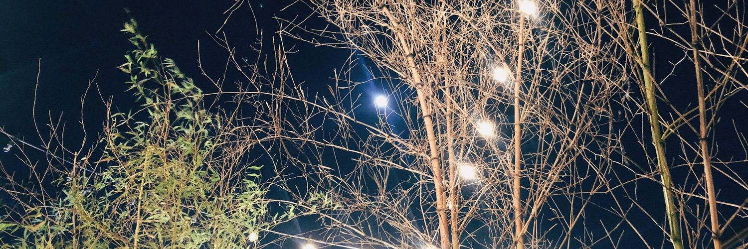 ShaAs☁️☁️ banner