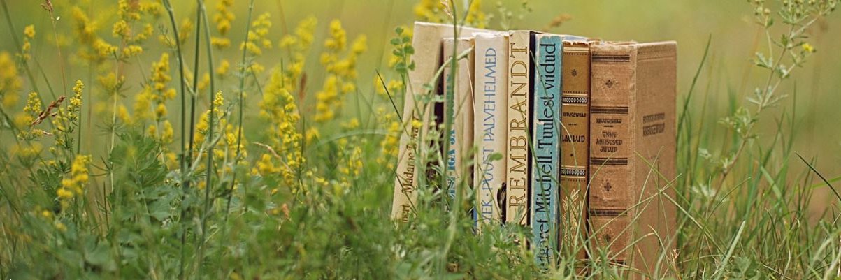 Laura Serantes 👩🏻‍💻 banner