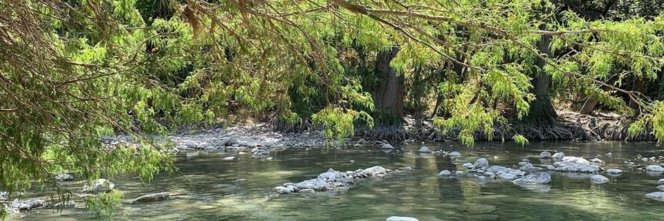 Kelsey Ireland-Phillips banner