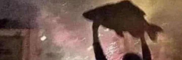 Jowlicka 🔞 banner