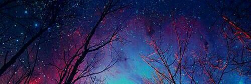 Thacy Dantas banner