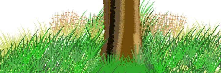Fenny Cloud banner