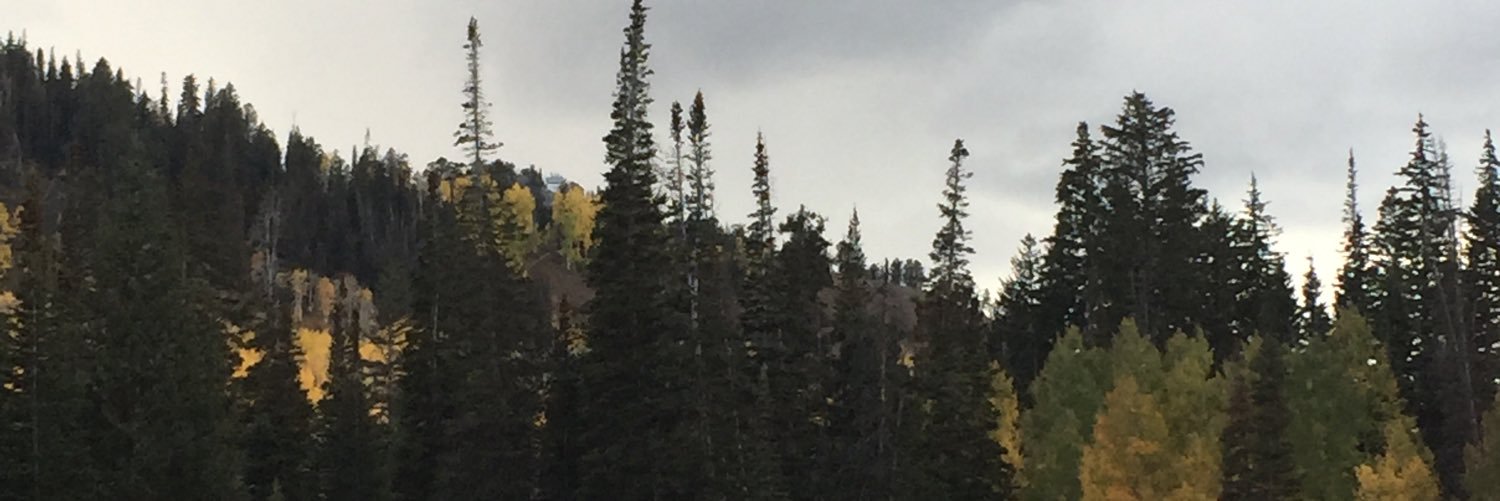 rgkidman's profile banner image
