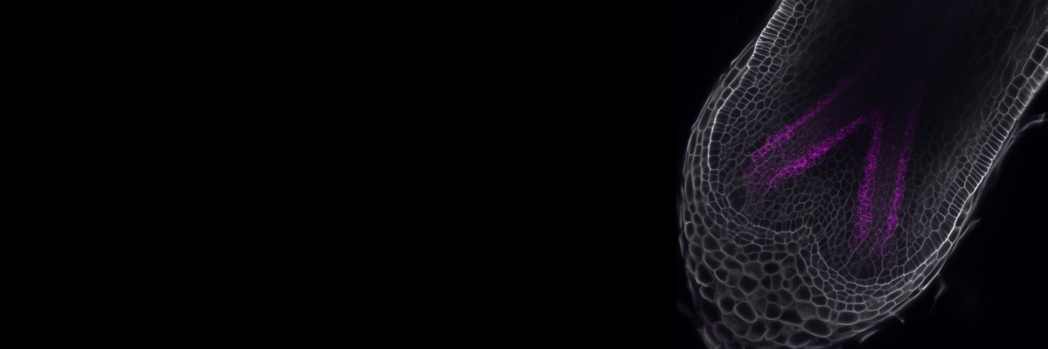 PoelmansWard's profile banner image