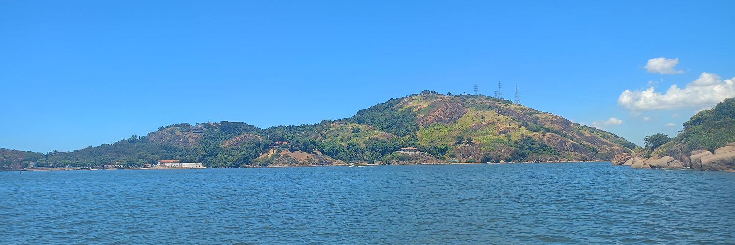 ¹⁹⁸¹ ALFA ᶜʳᶠ banner