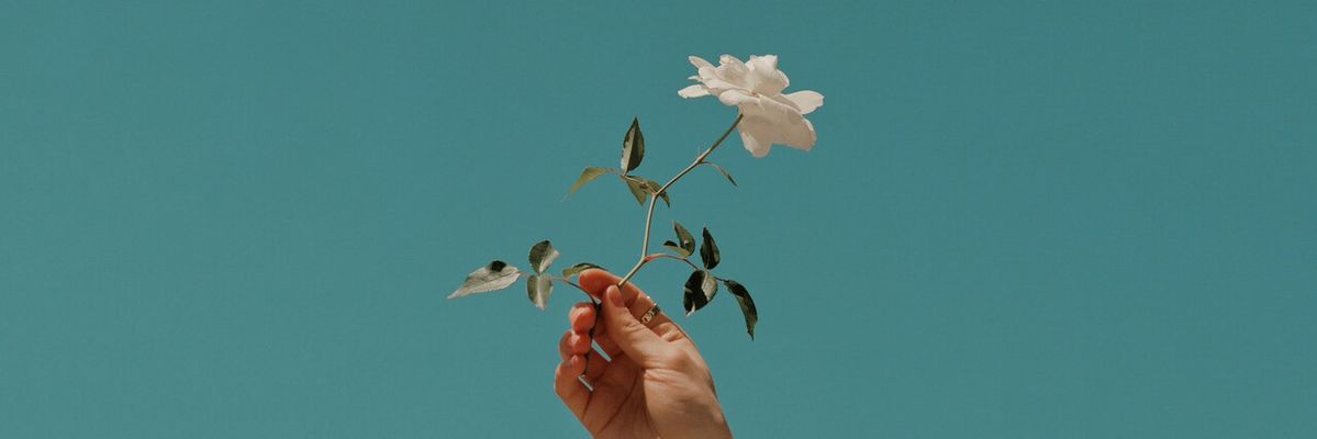 LinderosMarion's profile banner image