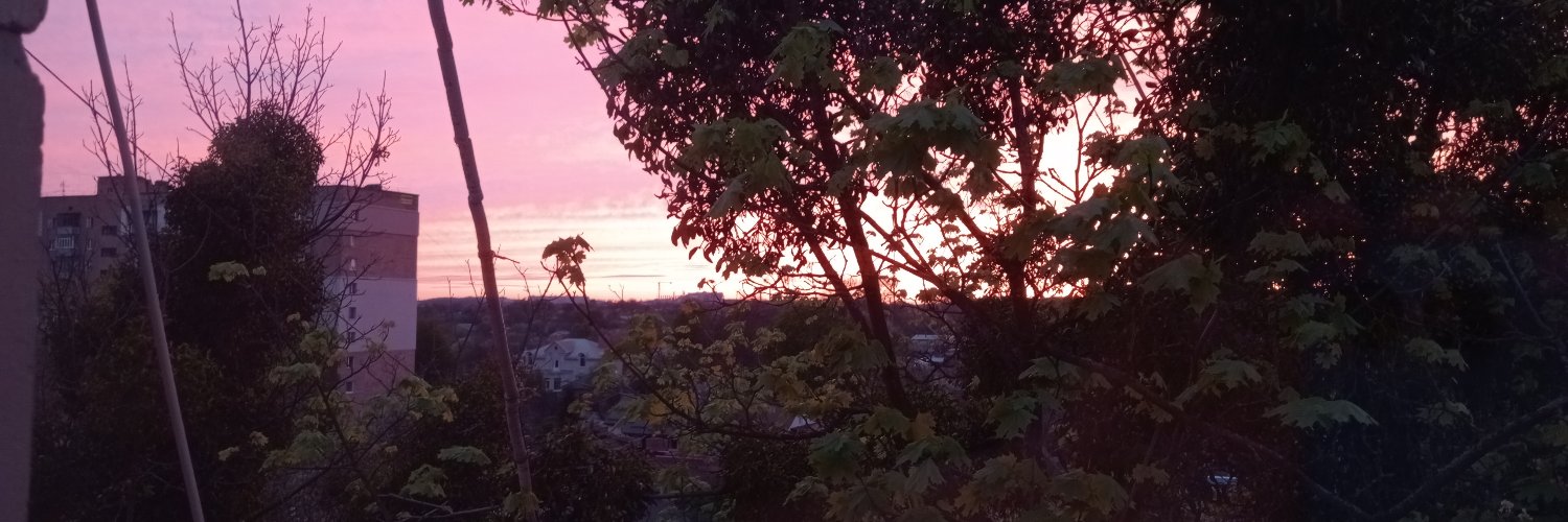 sobakapisalaaa's profile banner image