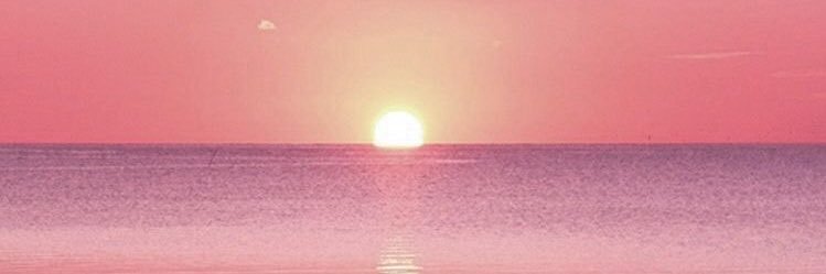 marzan_april's profile banner image
