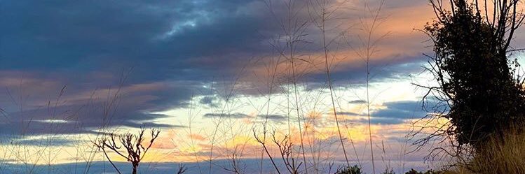 CaroLineeeta's profile banner image
