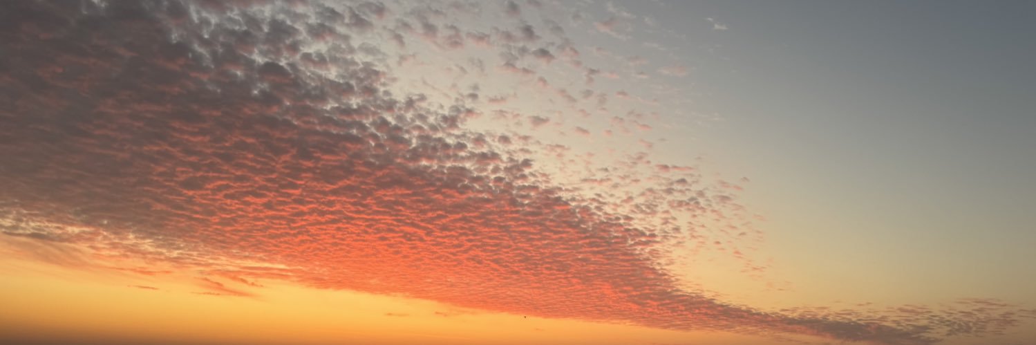Own_myway's profile banner image